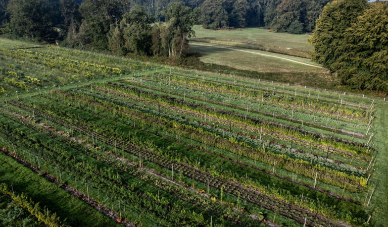 Farming, Redefined. A FoodUnfolded Film about Regenerative Agriculture