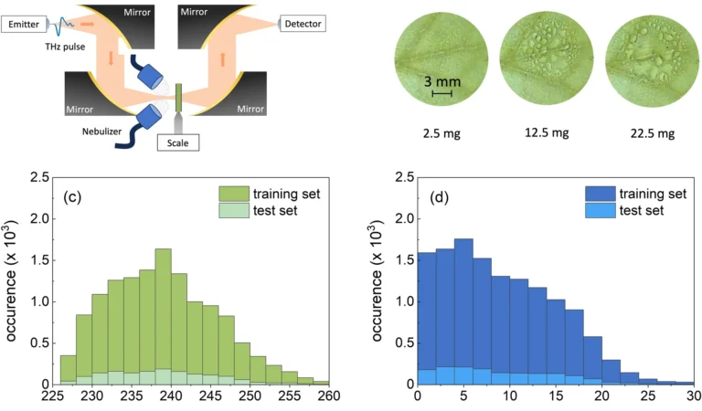 Physics-assisted machine learning for THz time-domain spectroscopy: sensing leaf wetness
