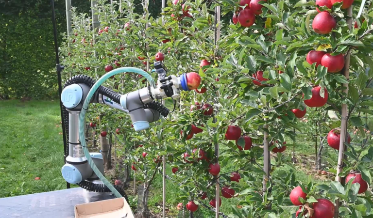 Defense Robert van de Ven of thesis ‘Modeling variation for learning-based and multi-task robots in fruit picking’