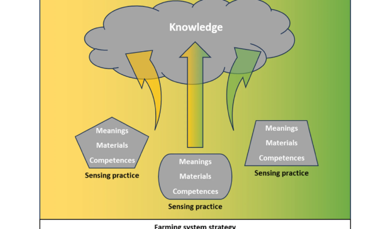 Sensors and sensing practices: shaping farming system strategies toward agricultural sustainability