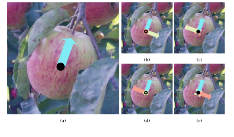 Modeling variation for learning-based and multi-task robots in fruit picking