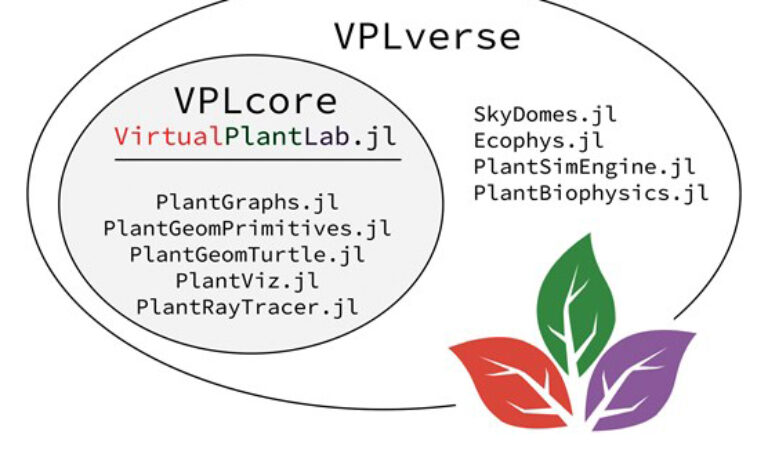The Virtual Plant Laboratory: a modern plant modelling framework in Julia