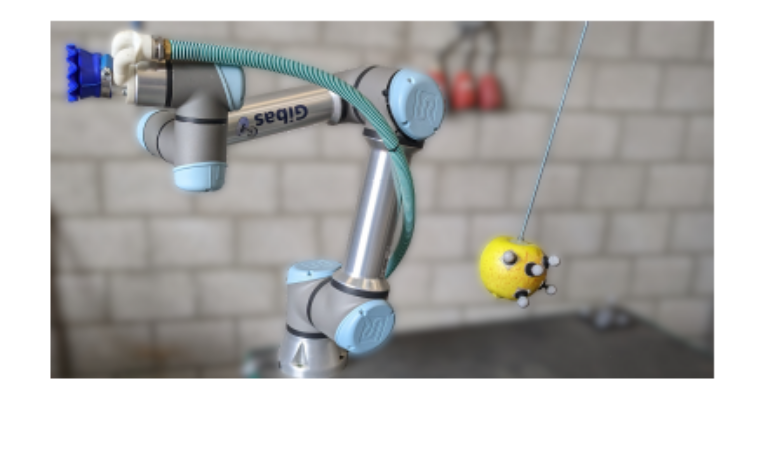 Efficient Grasping of Oscillating Apples using Task Parameterized Learning from Demonstration