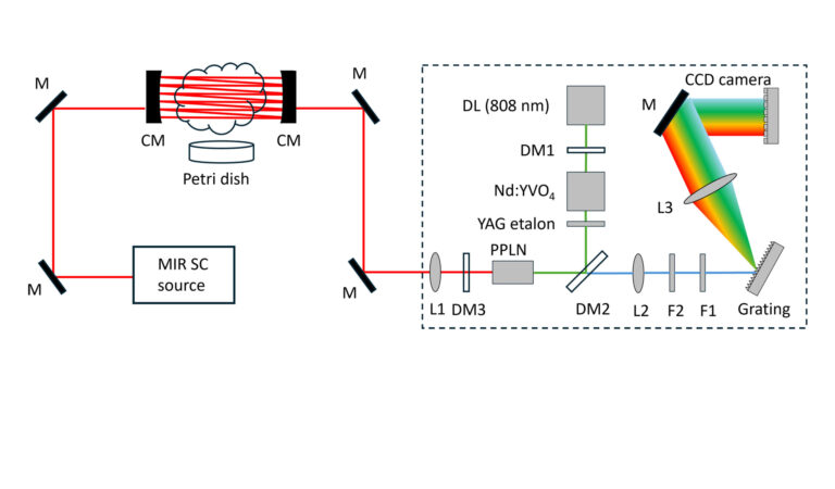 Sub-Second, Sensitive and Multispecies Detection of Volatile Organic Compounds Using a Mid-Infrared Broadband Supercontinuum Source and Upconversion Spectromete